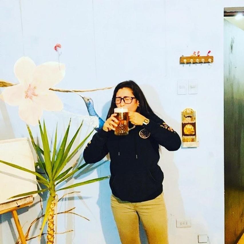 Beer&Beer Bed & Breakfast Valparaíso Екстериор снимка